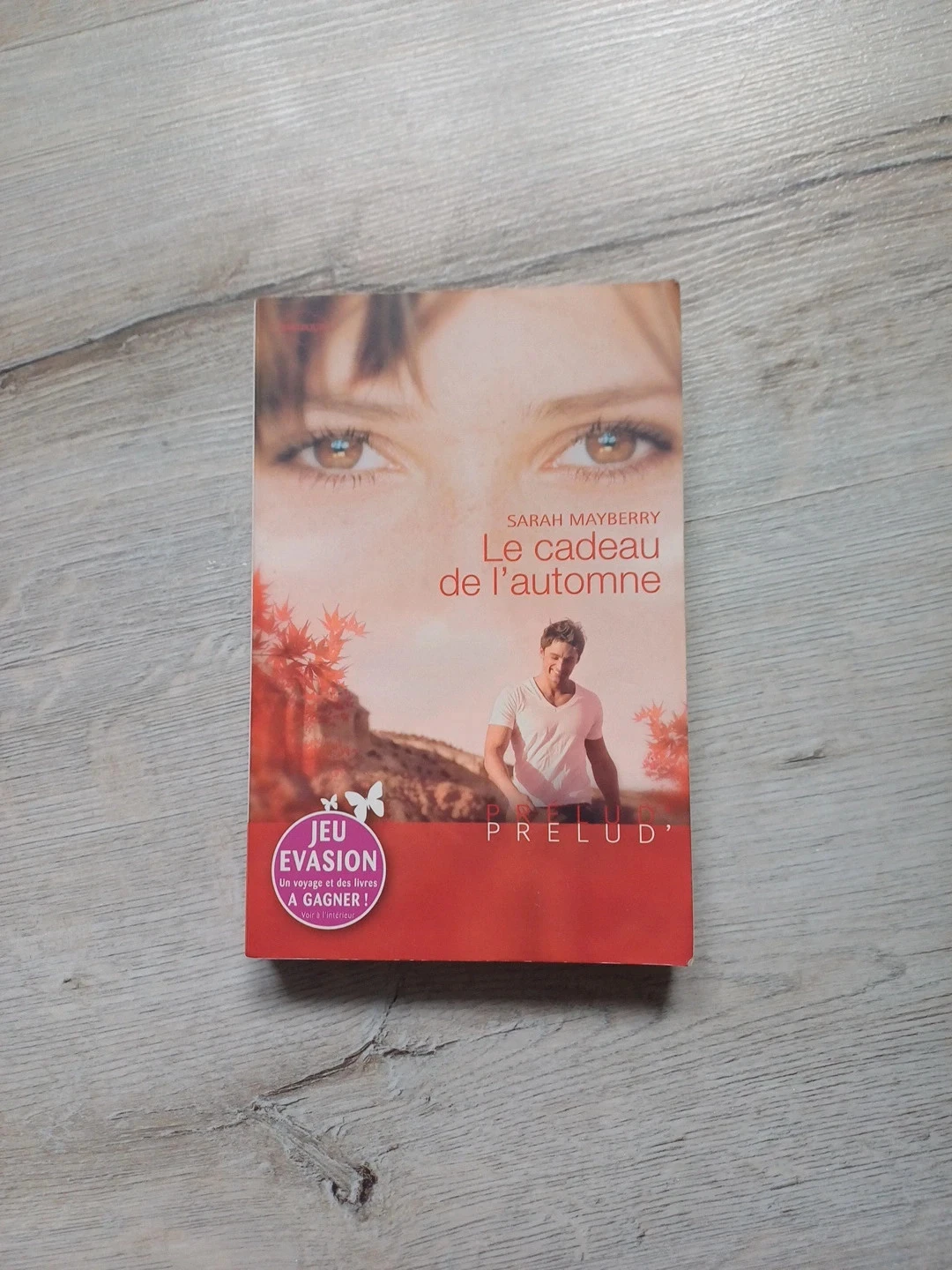 Livre le cadeau de l'automne